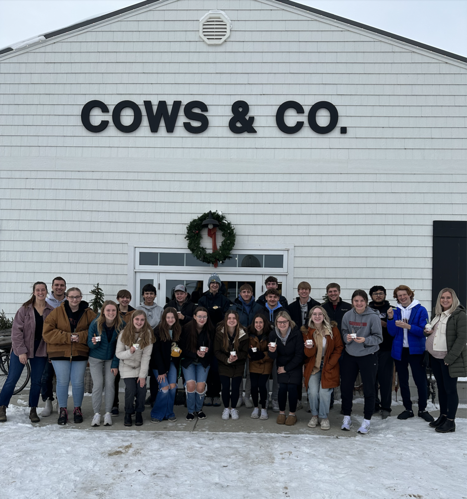 cows & co